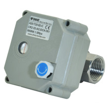 NSF61-G 2-Wege-Elektromotorisiertes Edelstahl-Kugelhahn mit Handbetrieb (T20-S2-B)